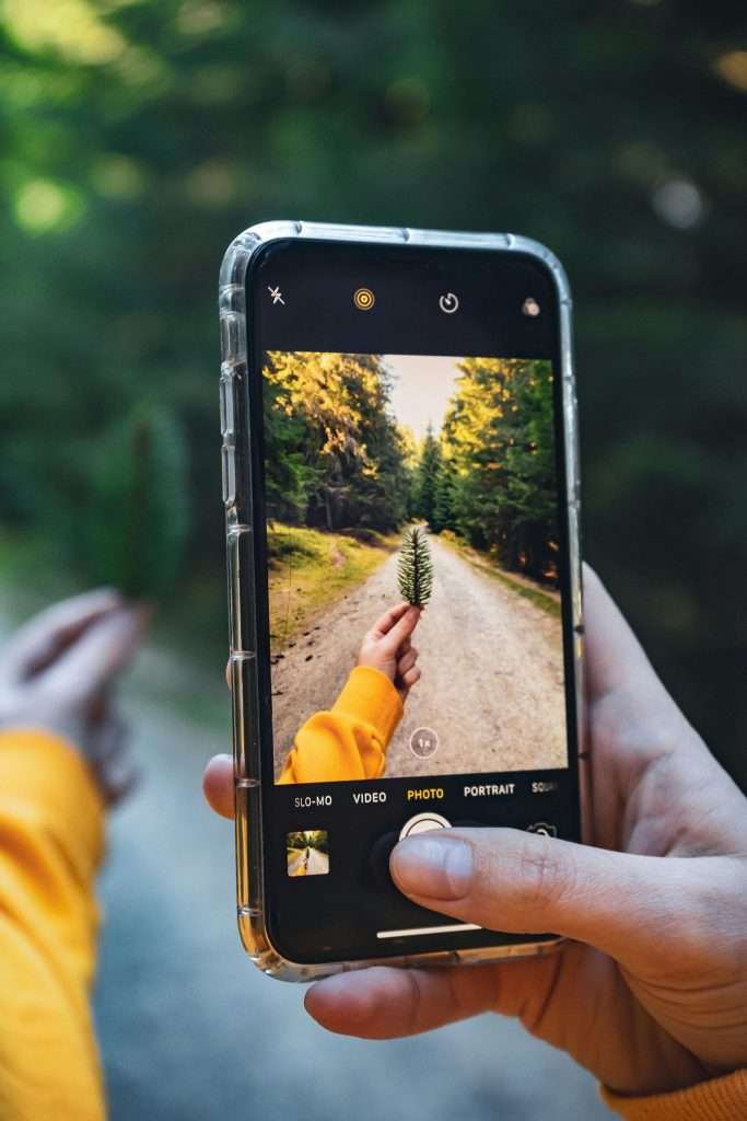 A person photographing a forest scene with a smartphone, highlighting nature's beauty.